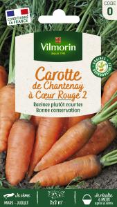 Carotte de Chantenay à Cœur Rouge 2